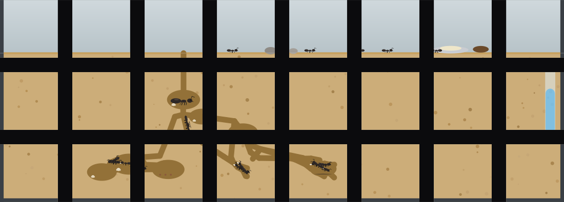 A Stream Deck XL showing an ant farm: open ground along the top row with foragers, pebbles, a sugar dish and the midden, and below it sand with tunnels and chambers the colony has dug, holding the queen, eggs, larvae and pupae, and a water tower down the right side.