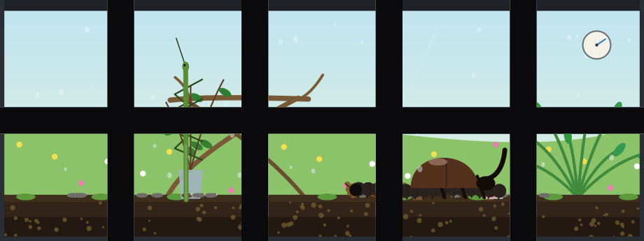 A Stream Deck showing a planted terrarium across ten keys: a meadow behind the glass, a stick insect climbing the twigs by a vase of bramble, a giant millipede and a rhino beetle on the floor with isopods, cork bark, live plants, moss, and a humidity gauge on the glass.