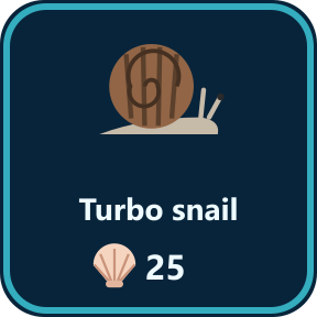 The Turbo snail key in the shop