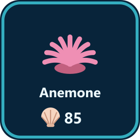 The Anemone key in the shop