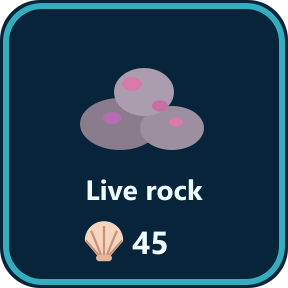 The Live rock key in the shop