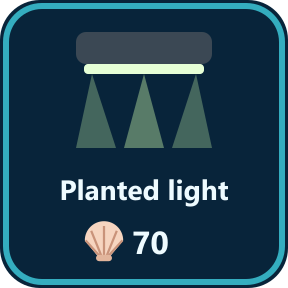 The Planted light key in the shop