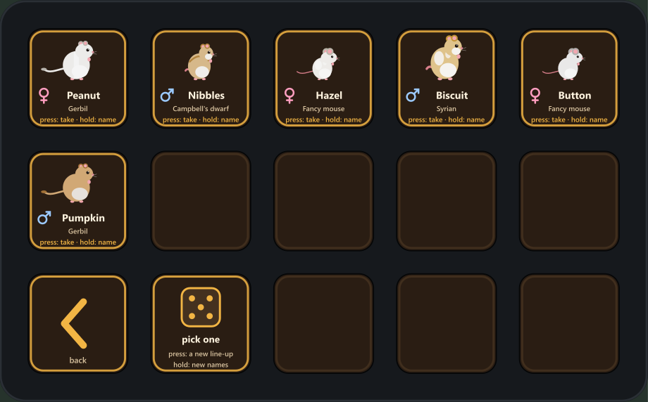 A Stream Deck showing a line-up of six pets to pick from: hamsters, gerbils and fancy mice in different coats, each with its name and sex, and a key saying pick one.