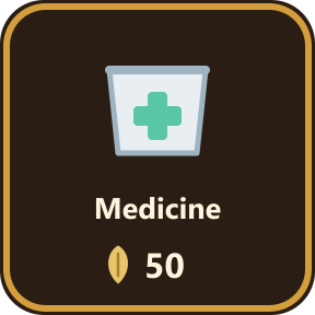 The Medicine key in the shop